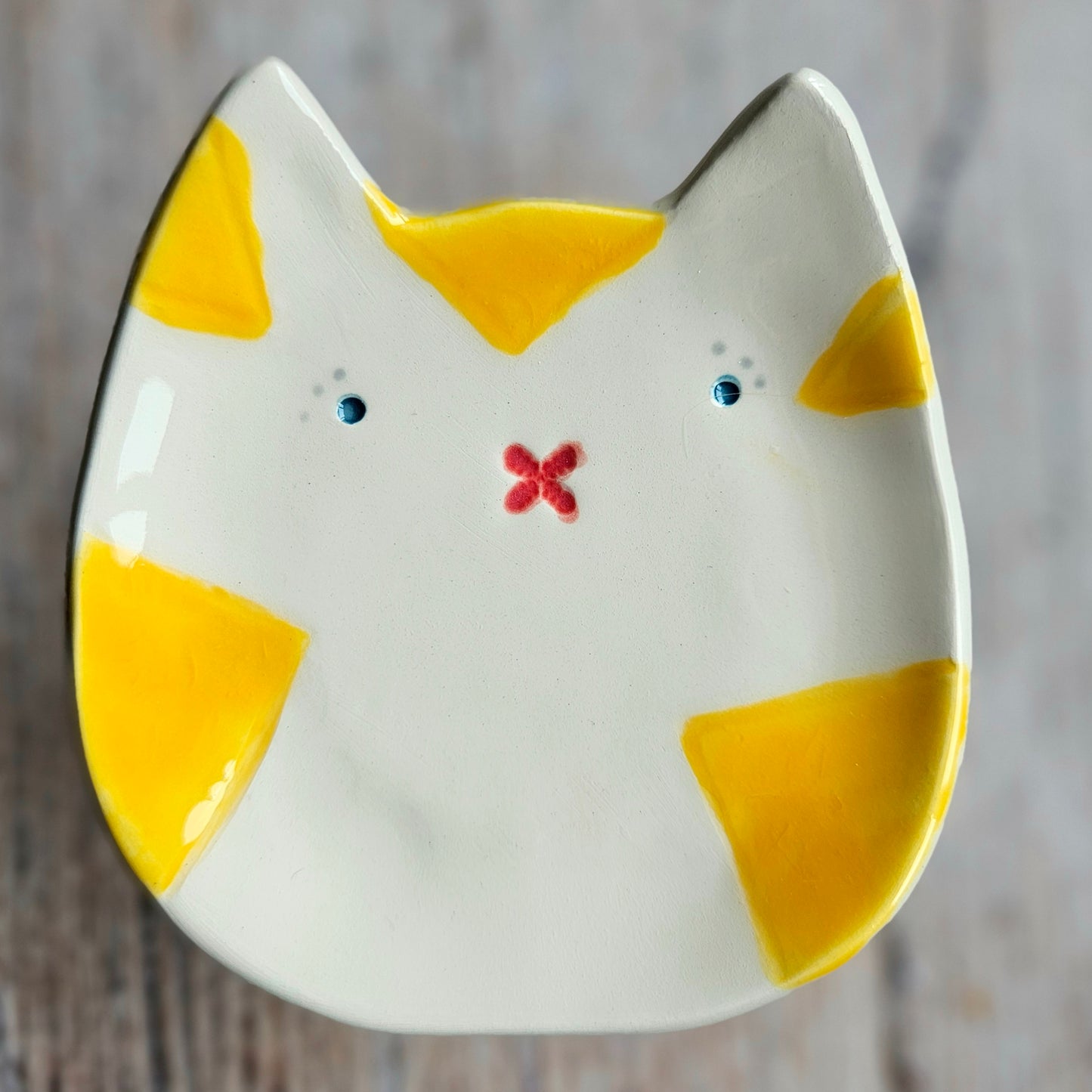 Cat Dish