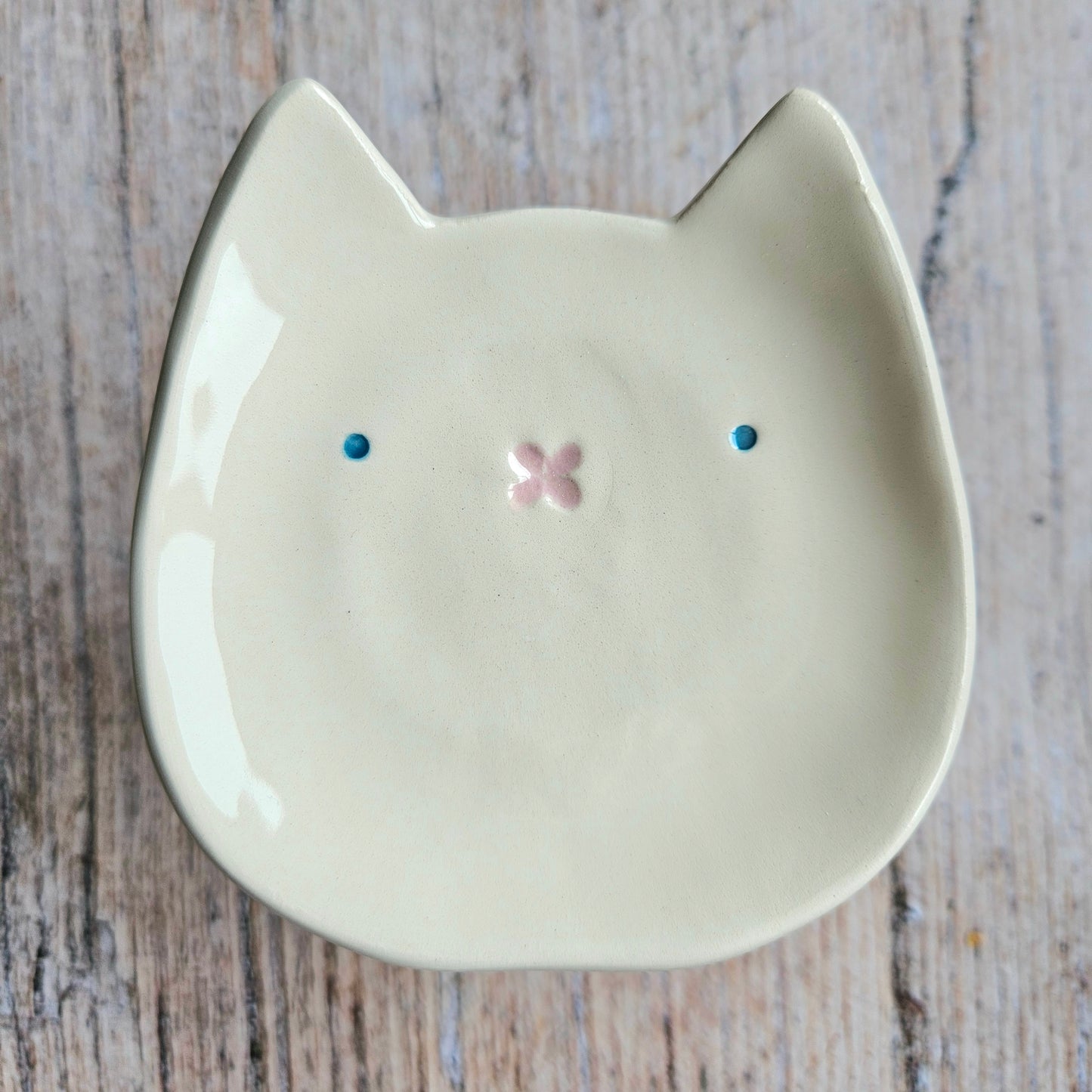 Cat Dish