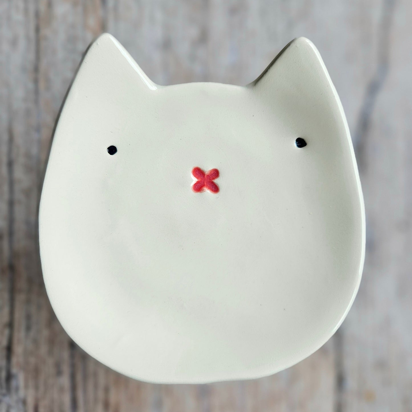 Cat Dish