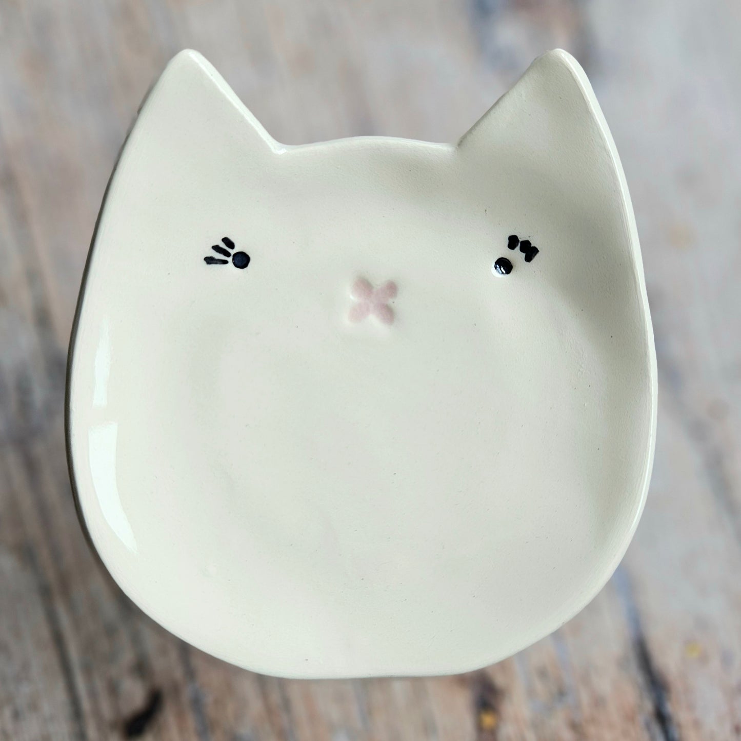 Cat Dish