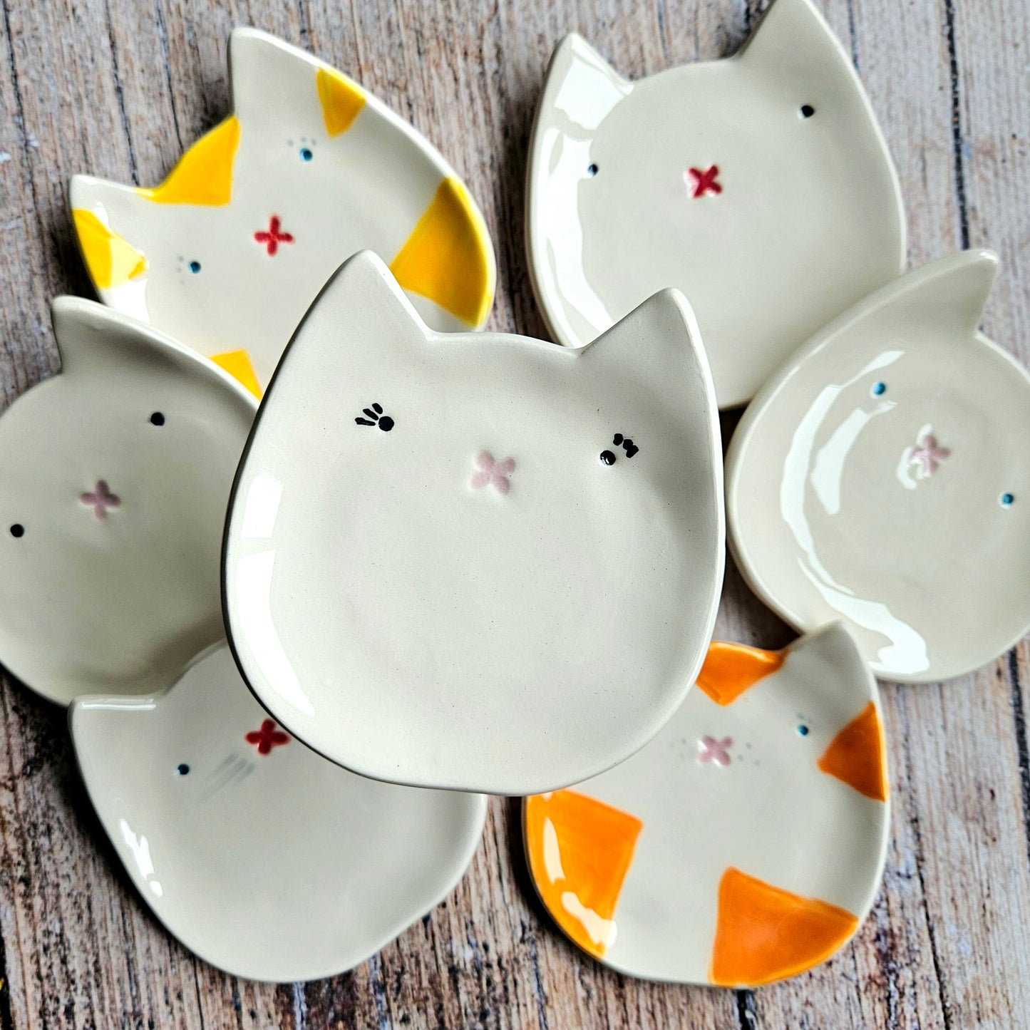Cat Dish