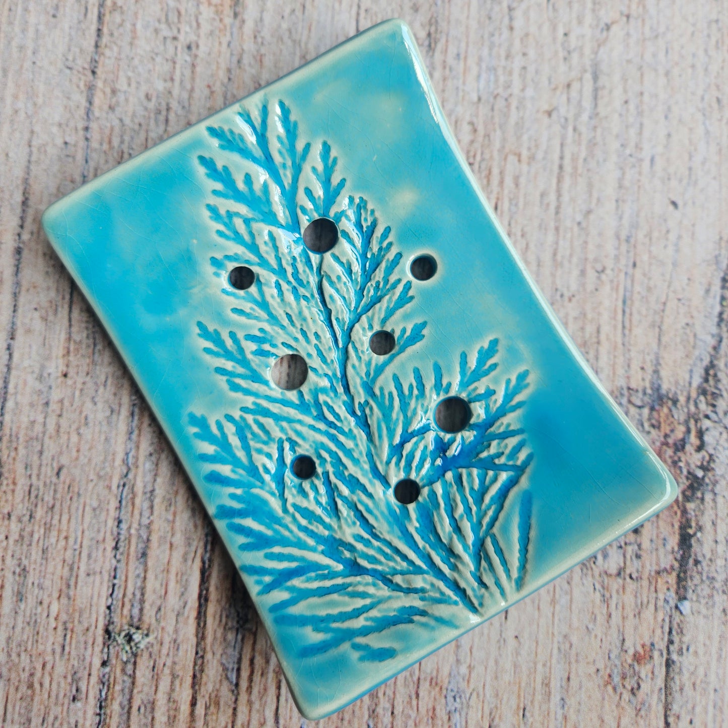 Soap Dish