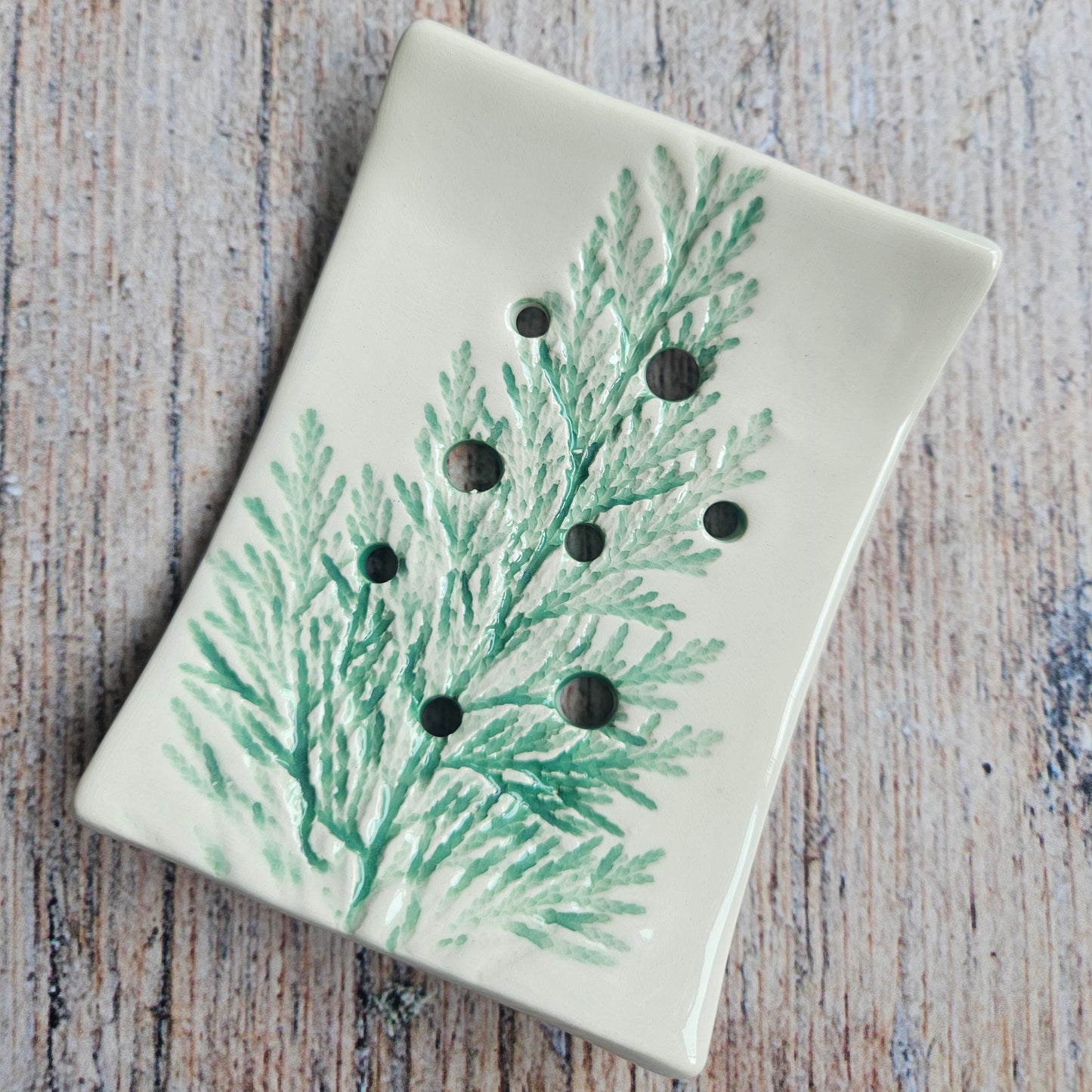 Soap Dish
