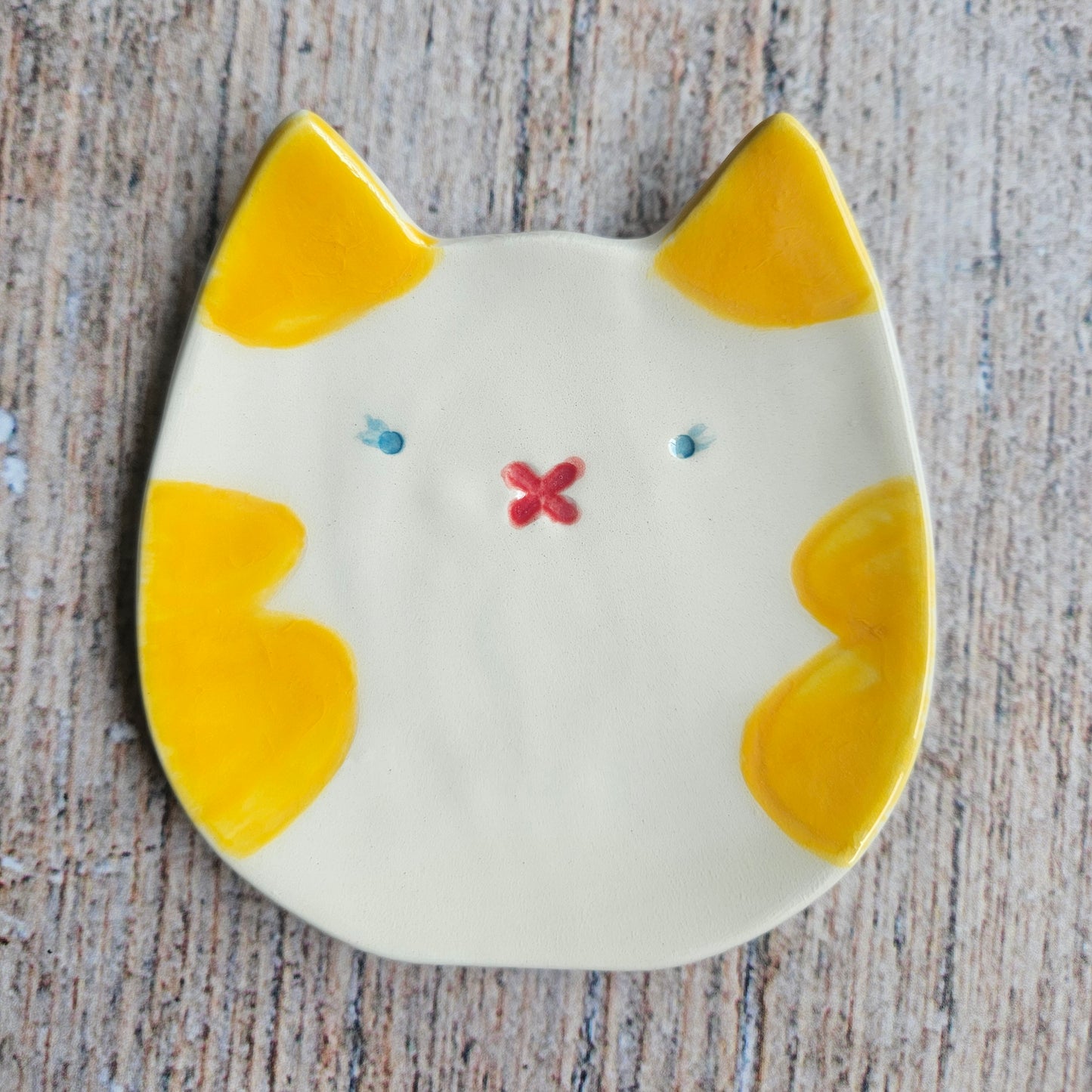 Cat Dish