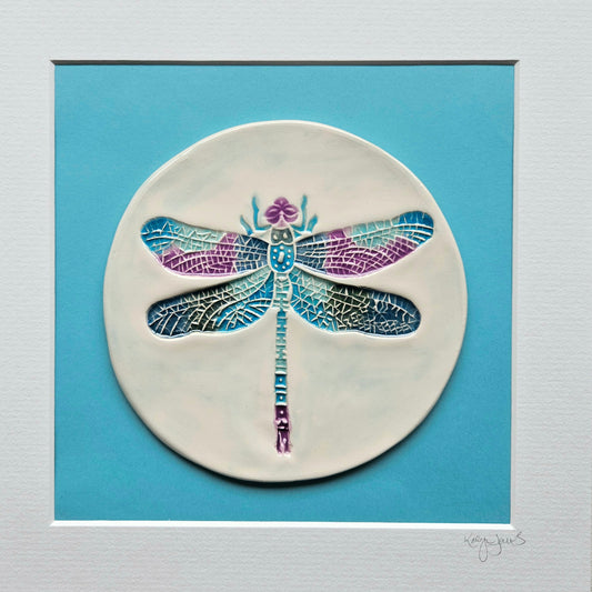 Framed Dragonfly in bright colours