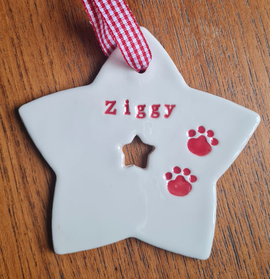 Personalised star for pets